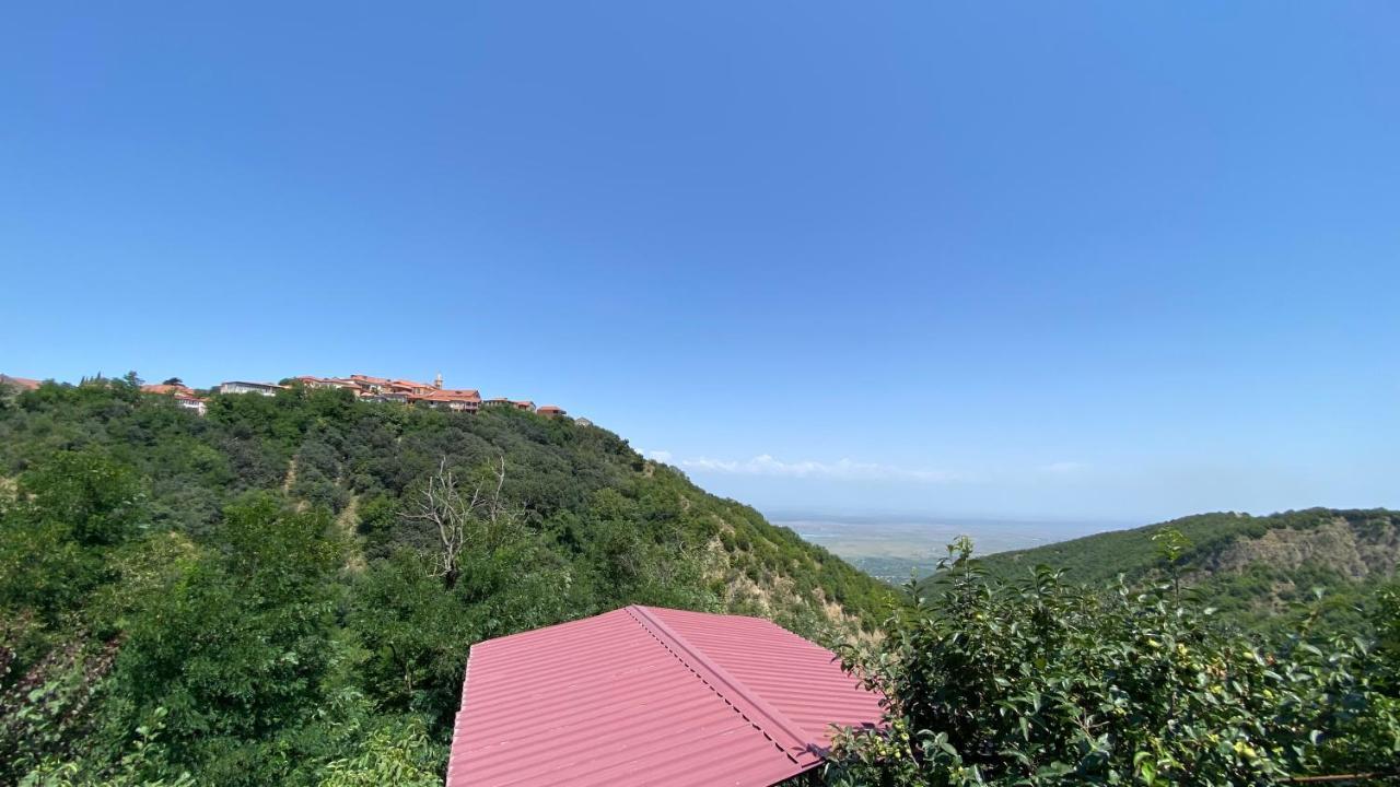 Lia'S Guest House Sighnaghi Luaran gambar