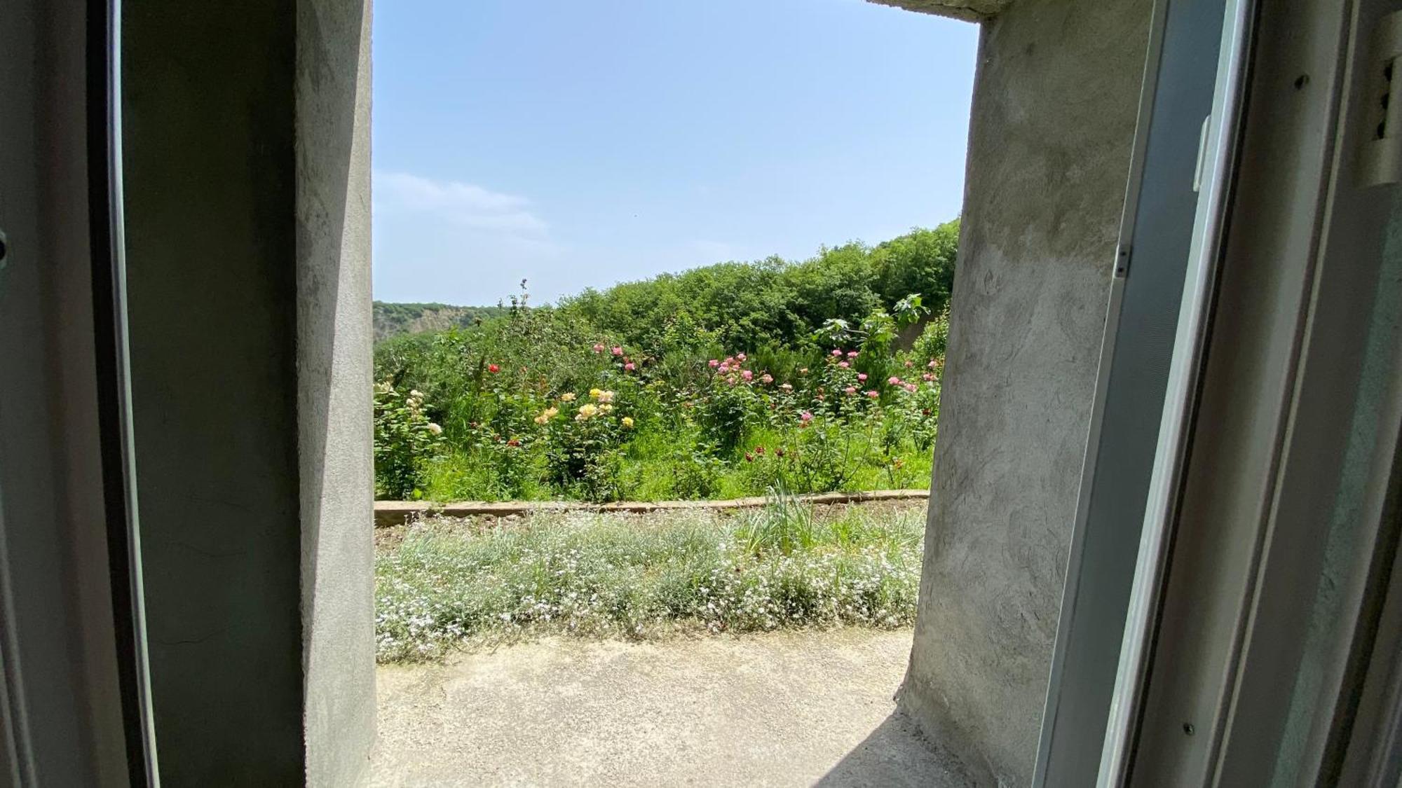 Lia'S Guest House Sighnaghi Bilik gambar
